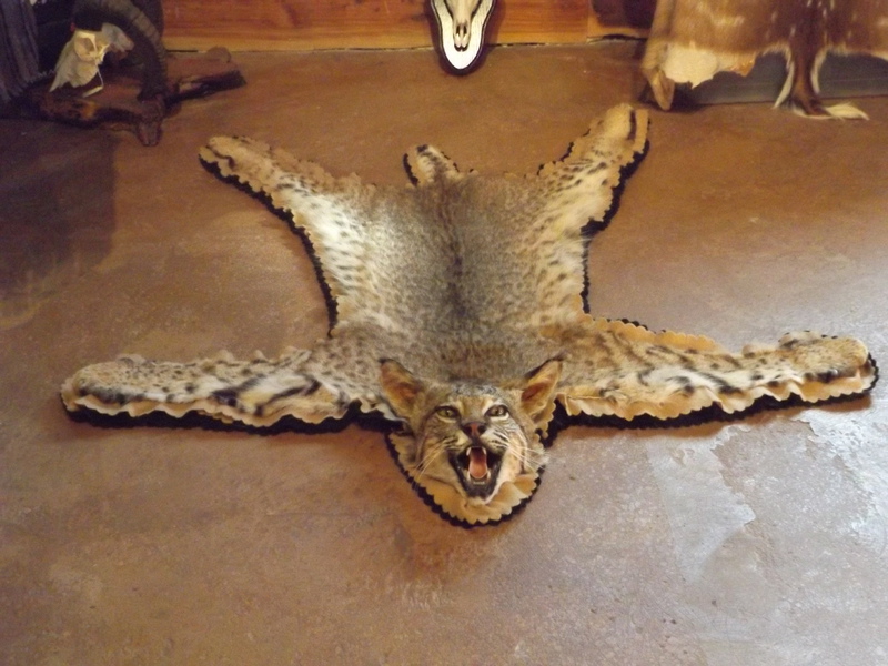 Taxidermy & Game Processing in Boerne, Texas - Tanned Hides