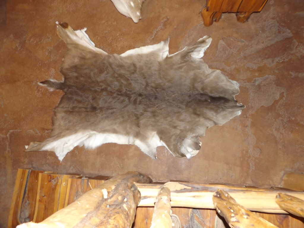 Whitetail Full Tanned Hide